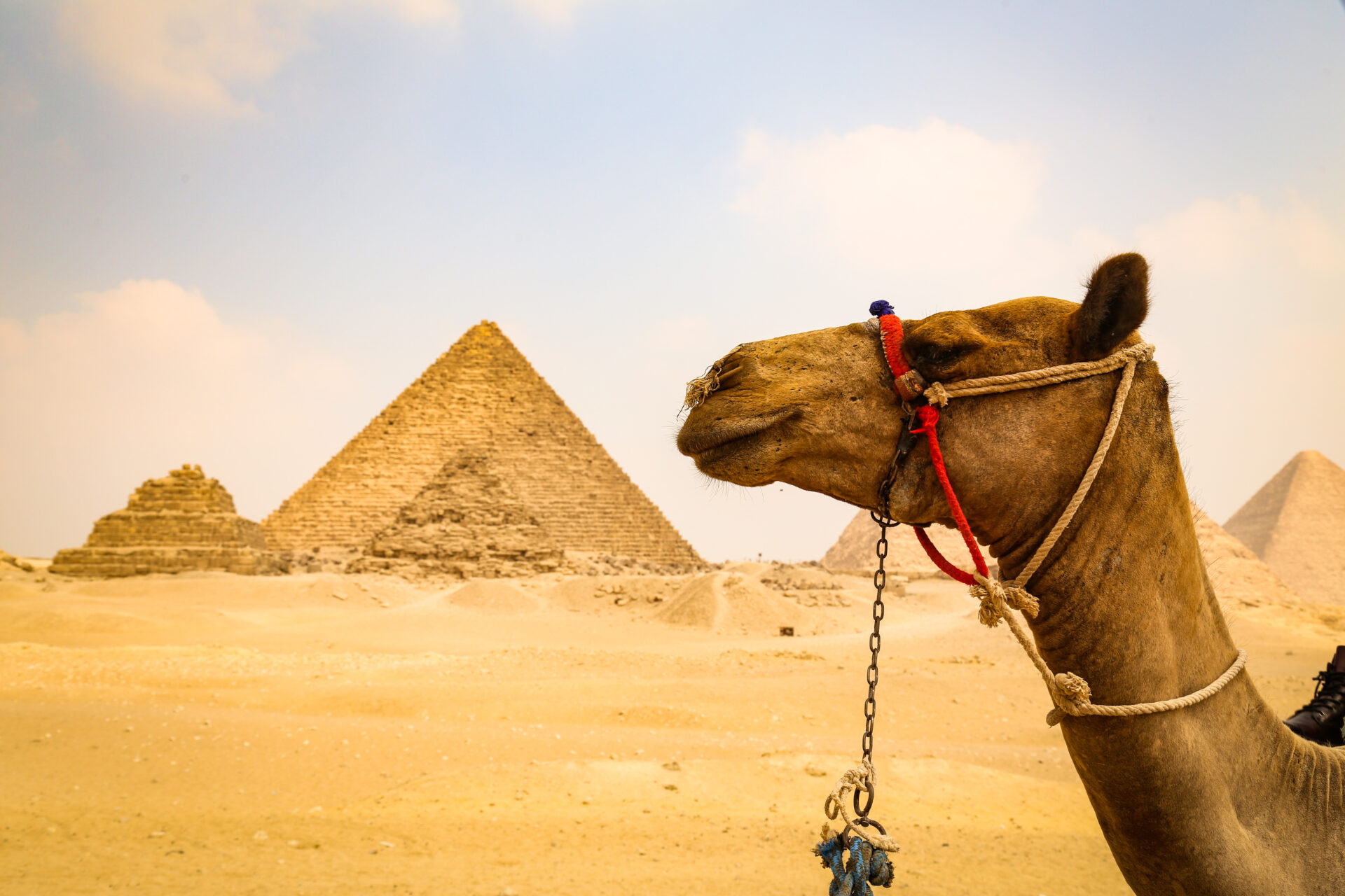 Important Egypt travel tips