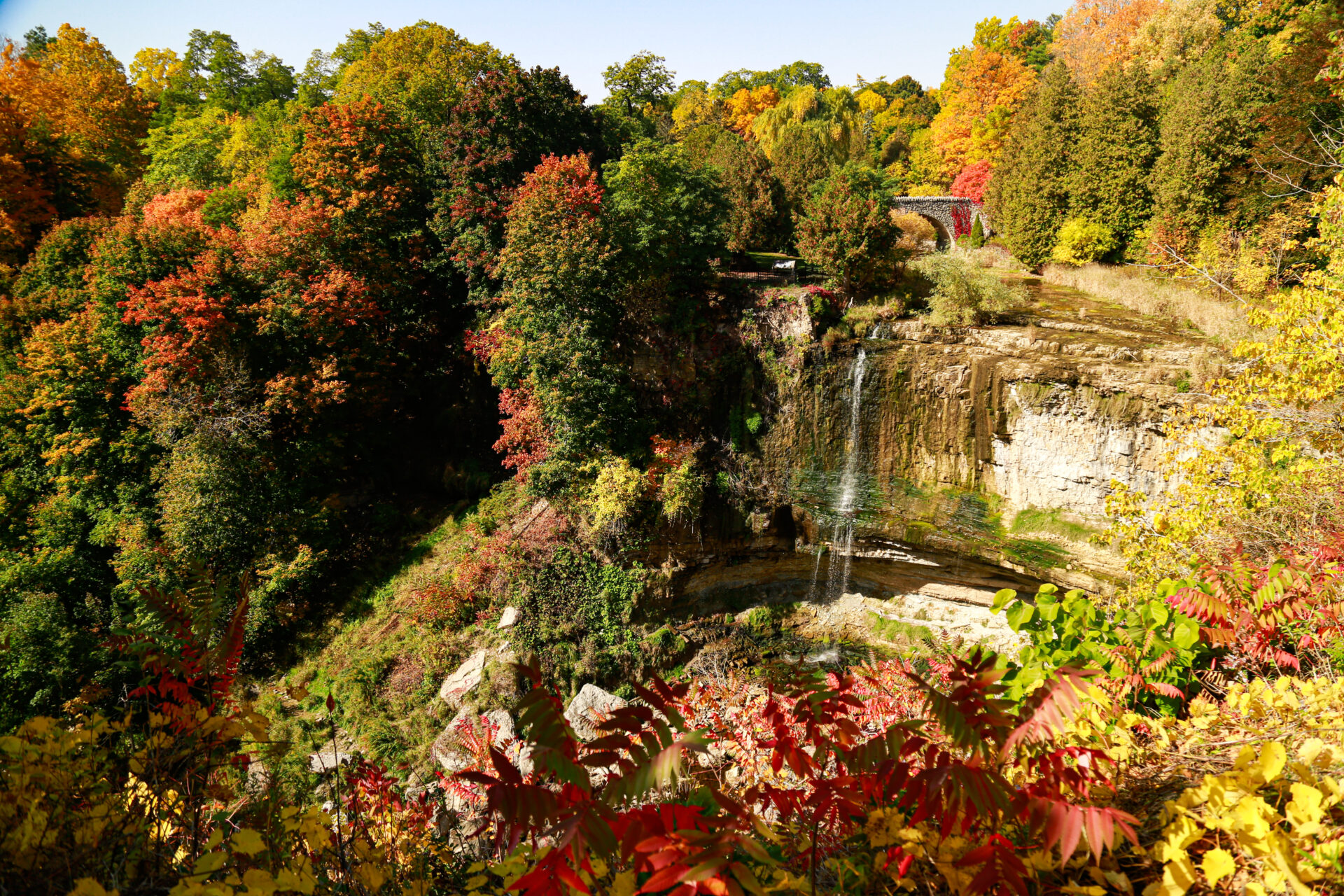 Best Hamilton waterfalls - Webster's Falls