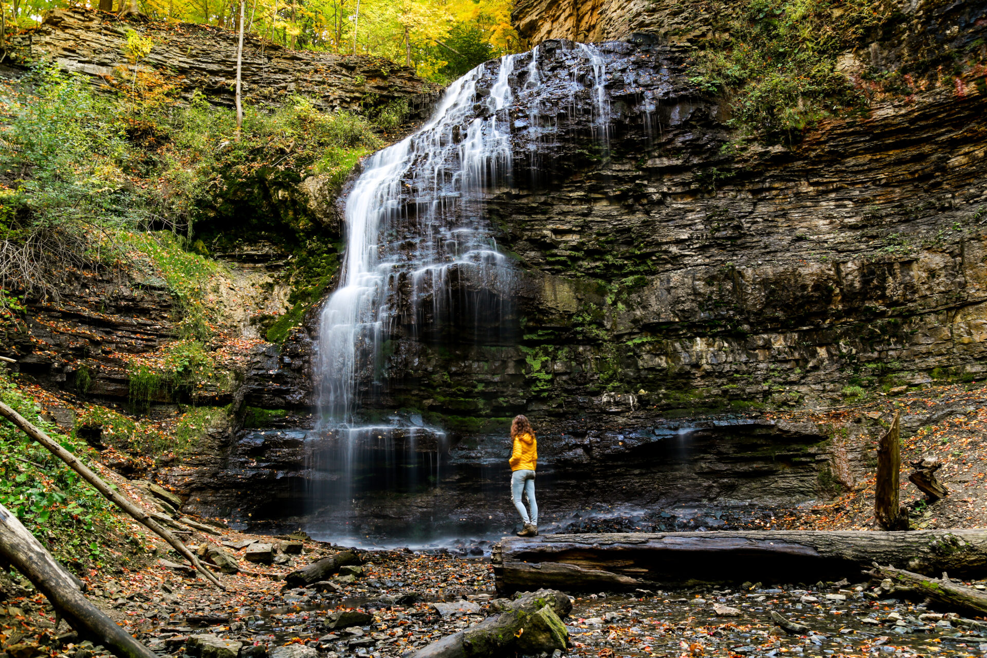 Best Hamilton waterfalls - Tiffany Falls