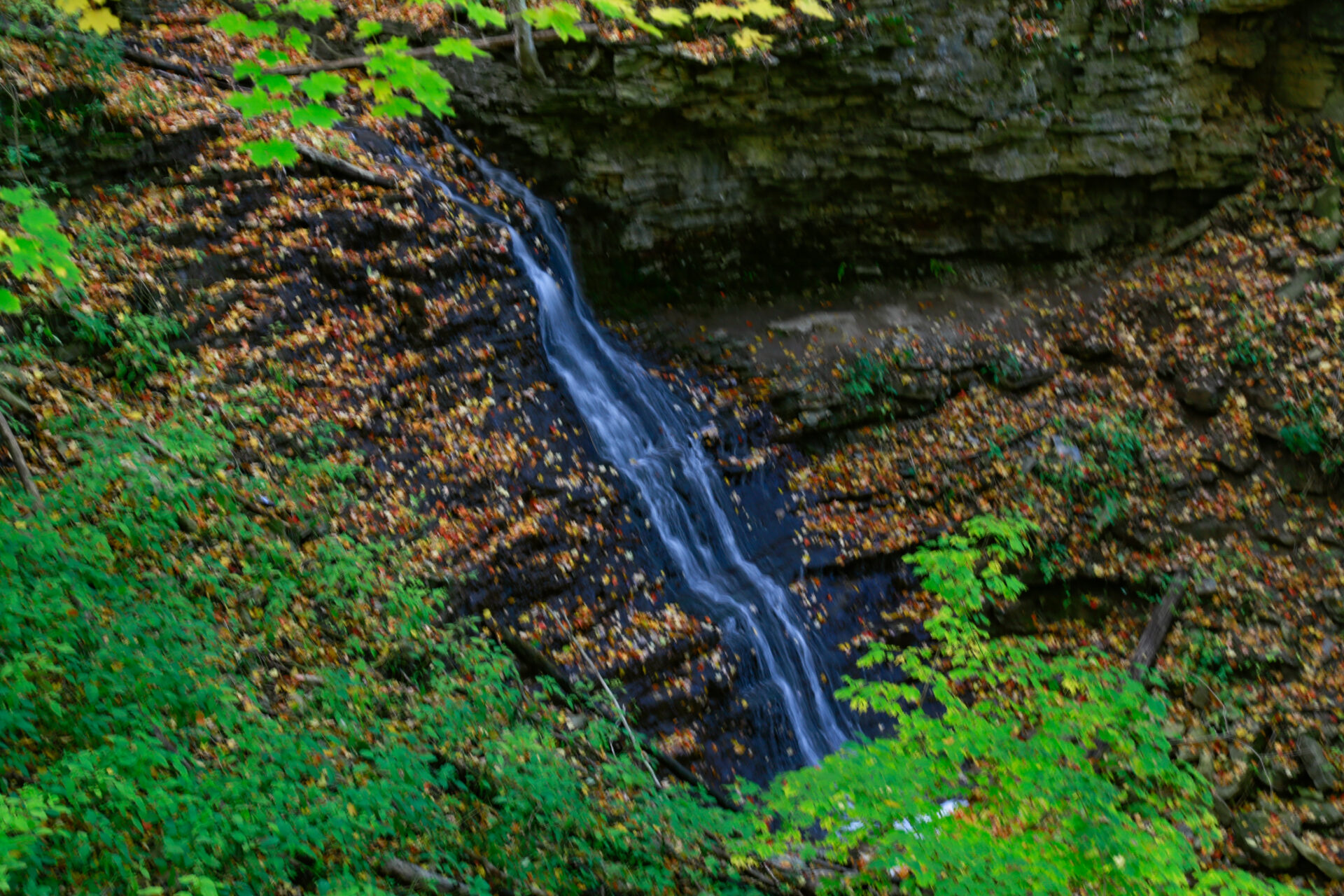 Canterbury Falls, Hamilton