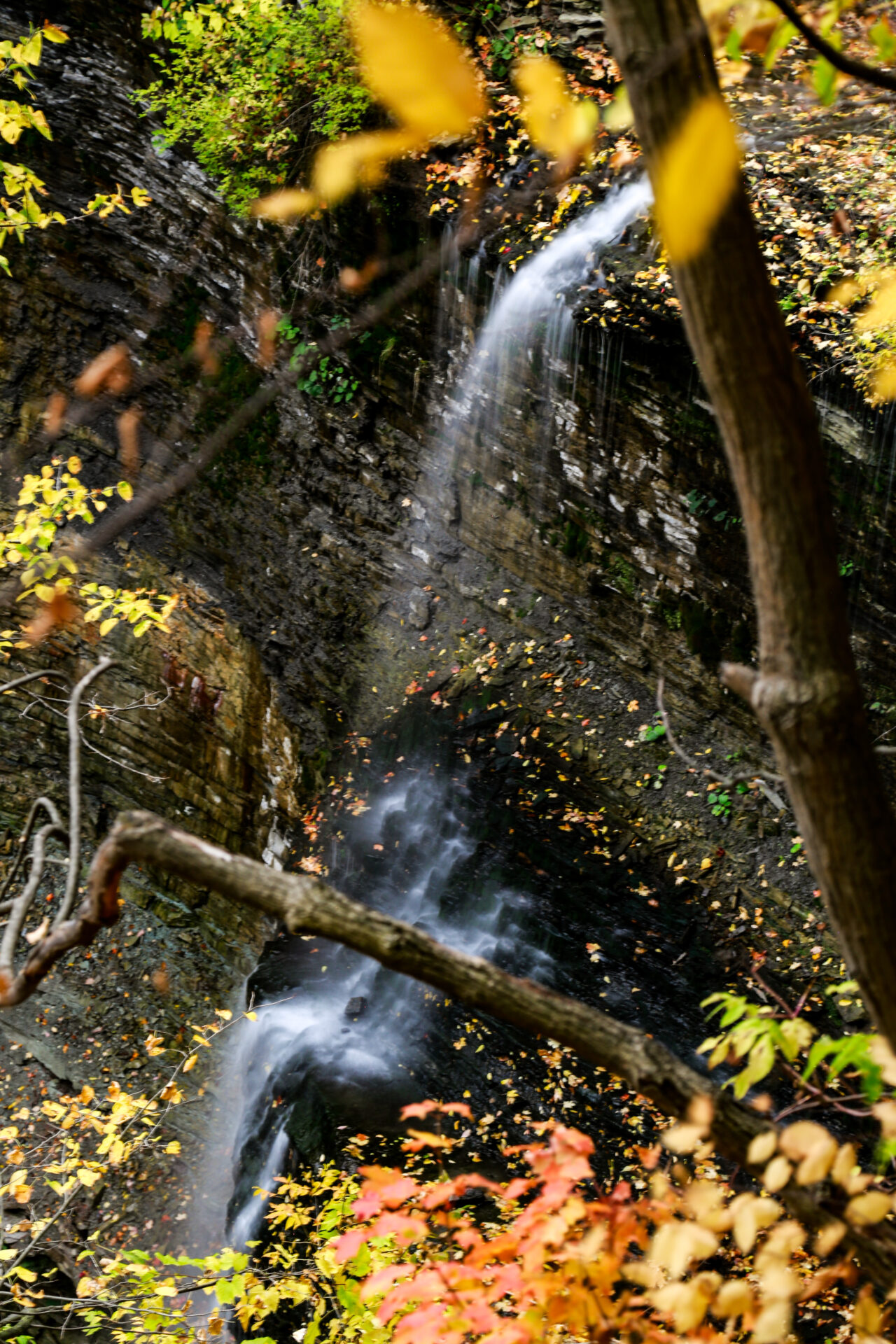 Best Hamilton waterfalls - Felker's Falls