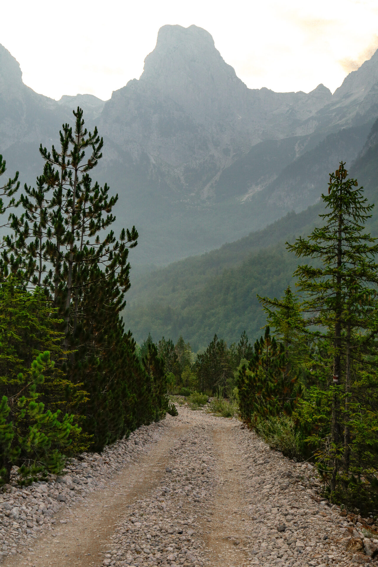 Dirt road to Rrogram from Valbona 