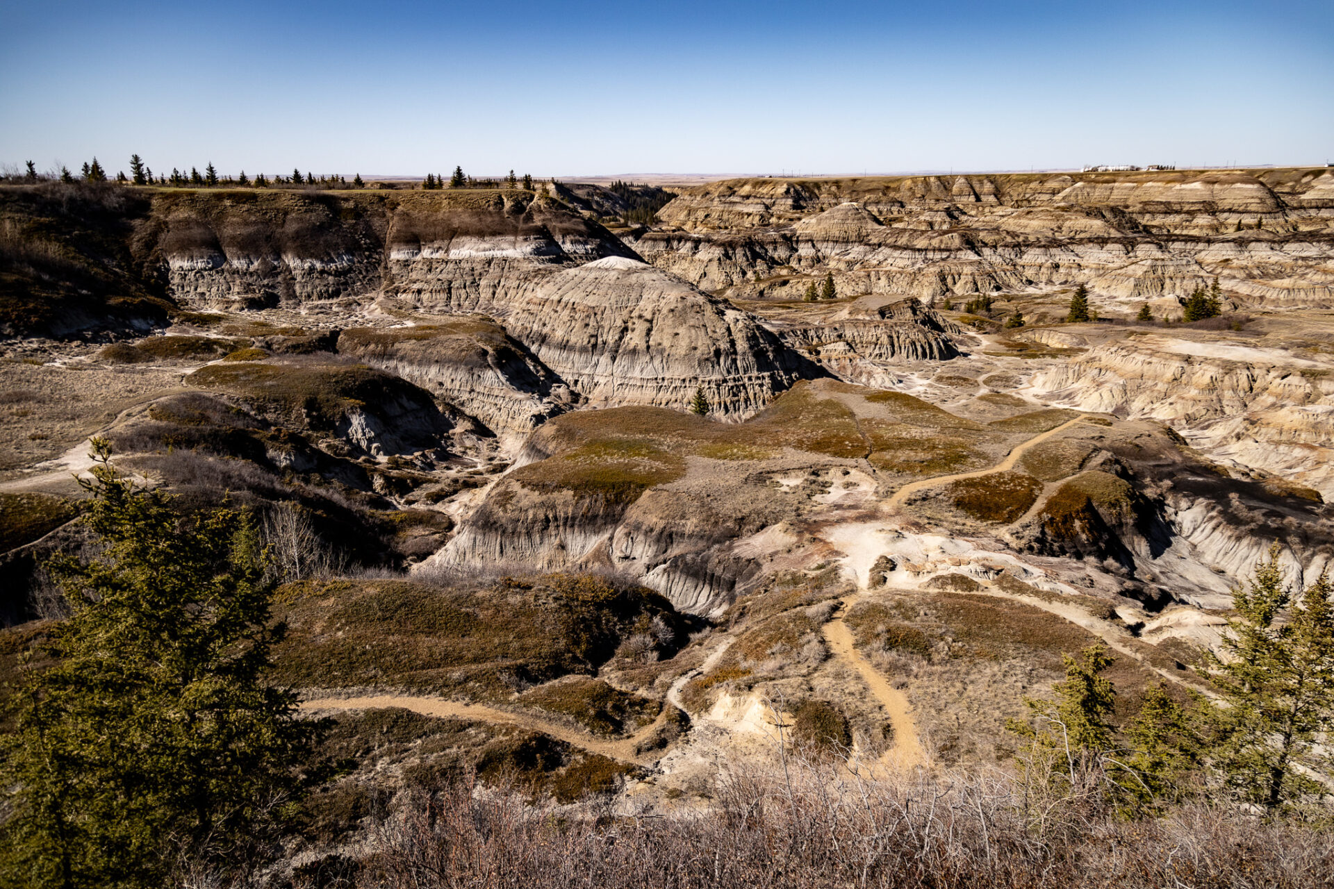 how to spend 1 day in Drumheller