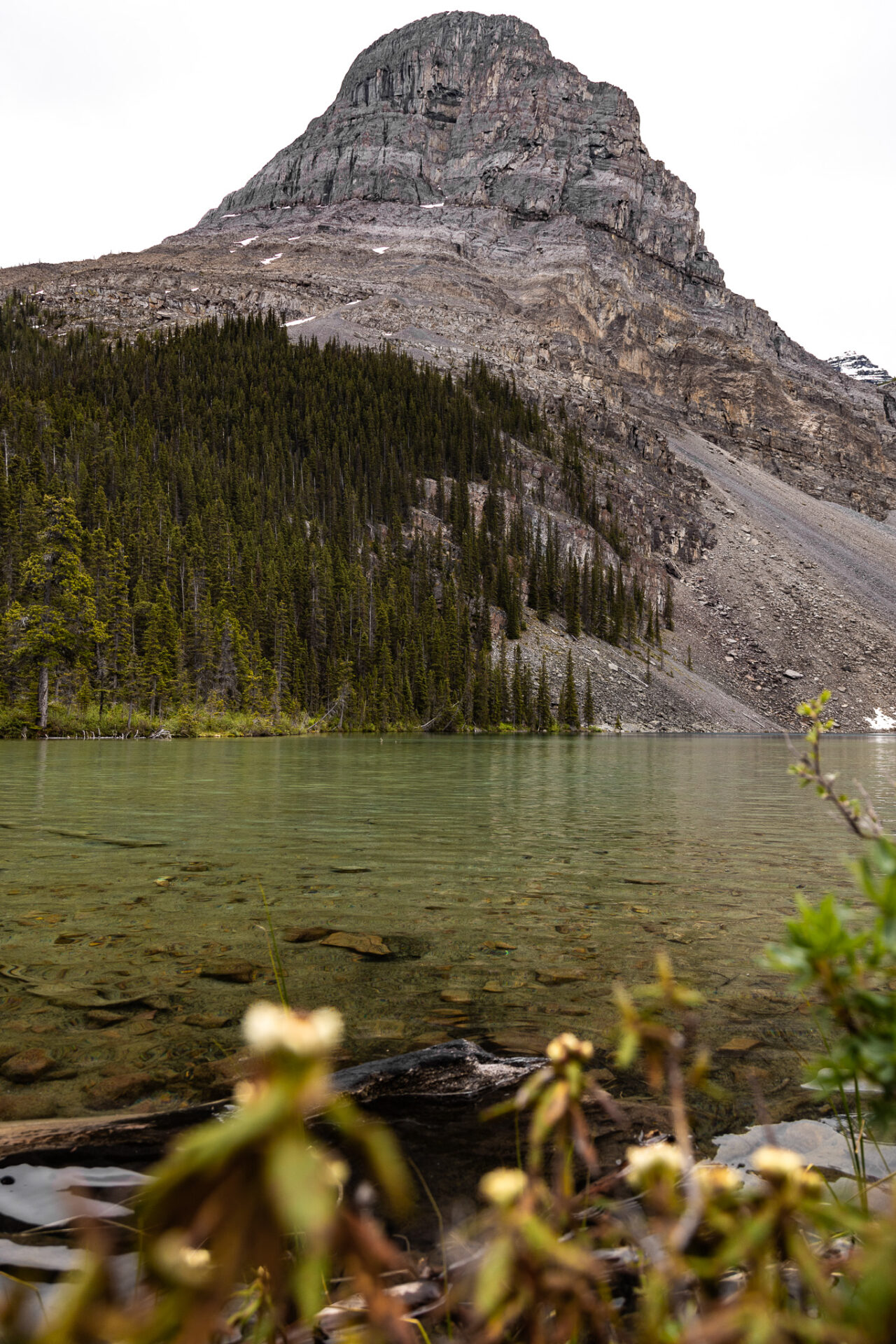 Hard hikes at Lake Louise - Ross Lake