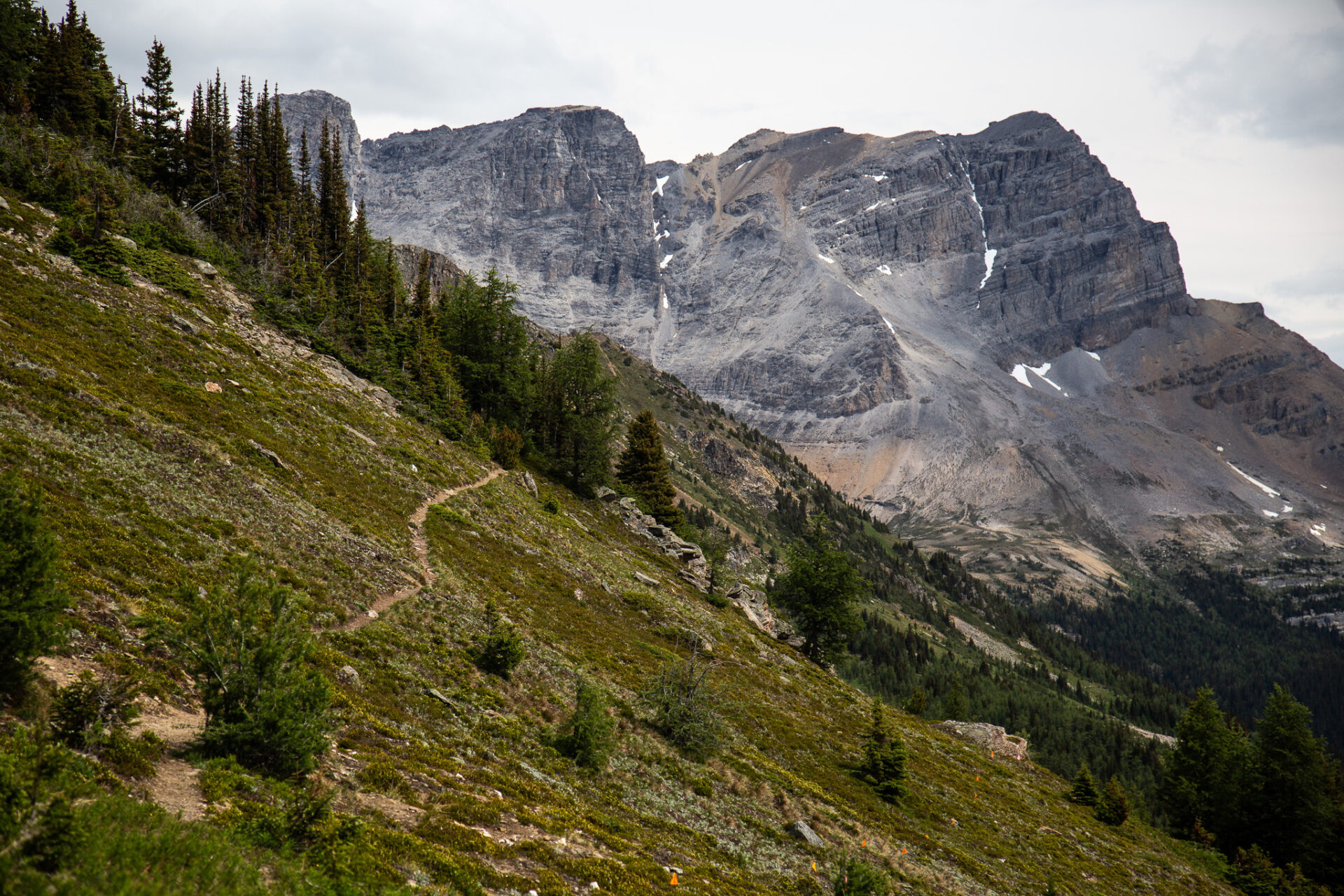 Lake Louise Gondola hikes - Ptarmigan Viewpoint 