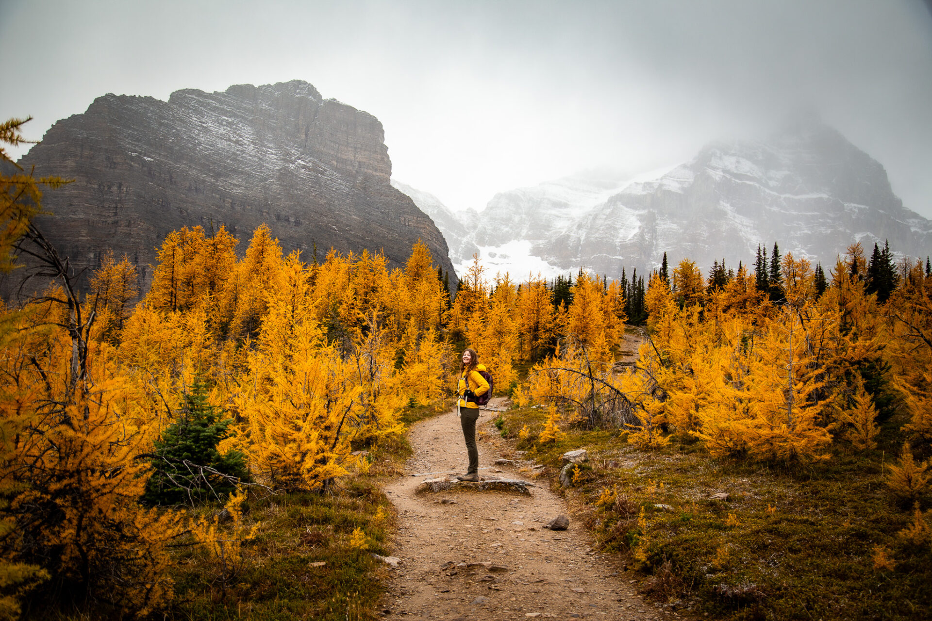 Lake Louise Larch hike - Saddleback Pass 