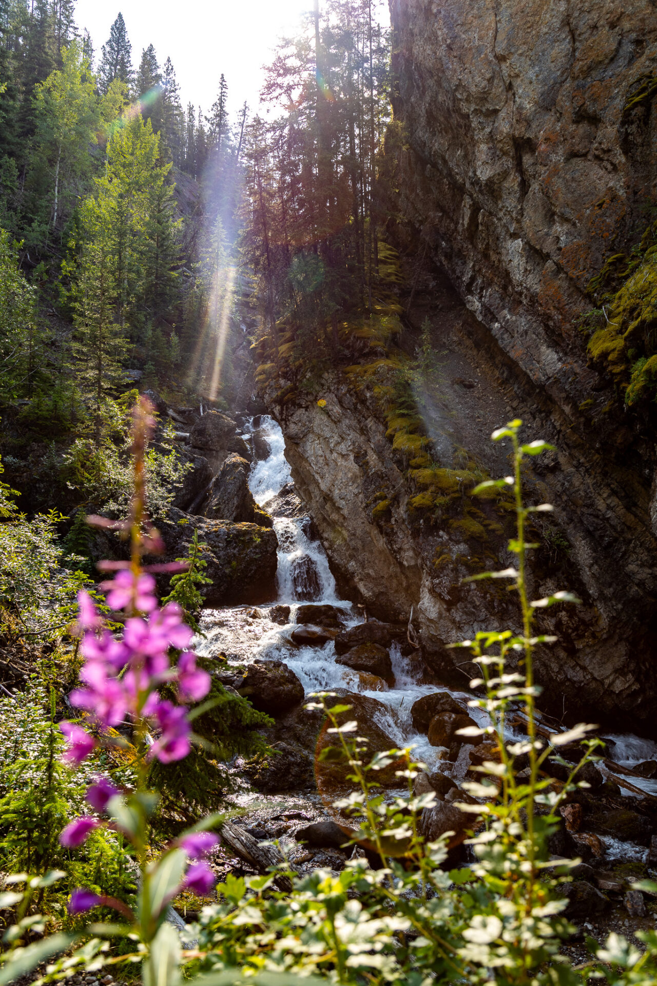 hikes you can walk to from Banff