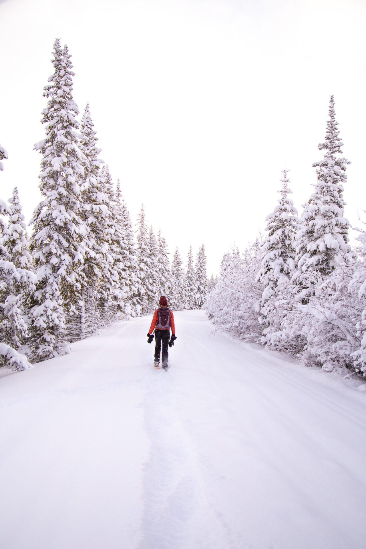 Banff travel guide - winter 