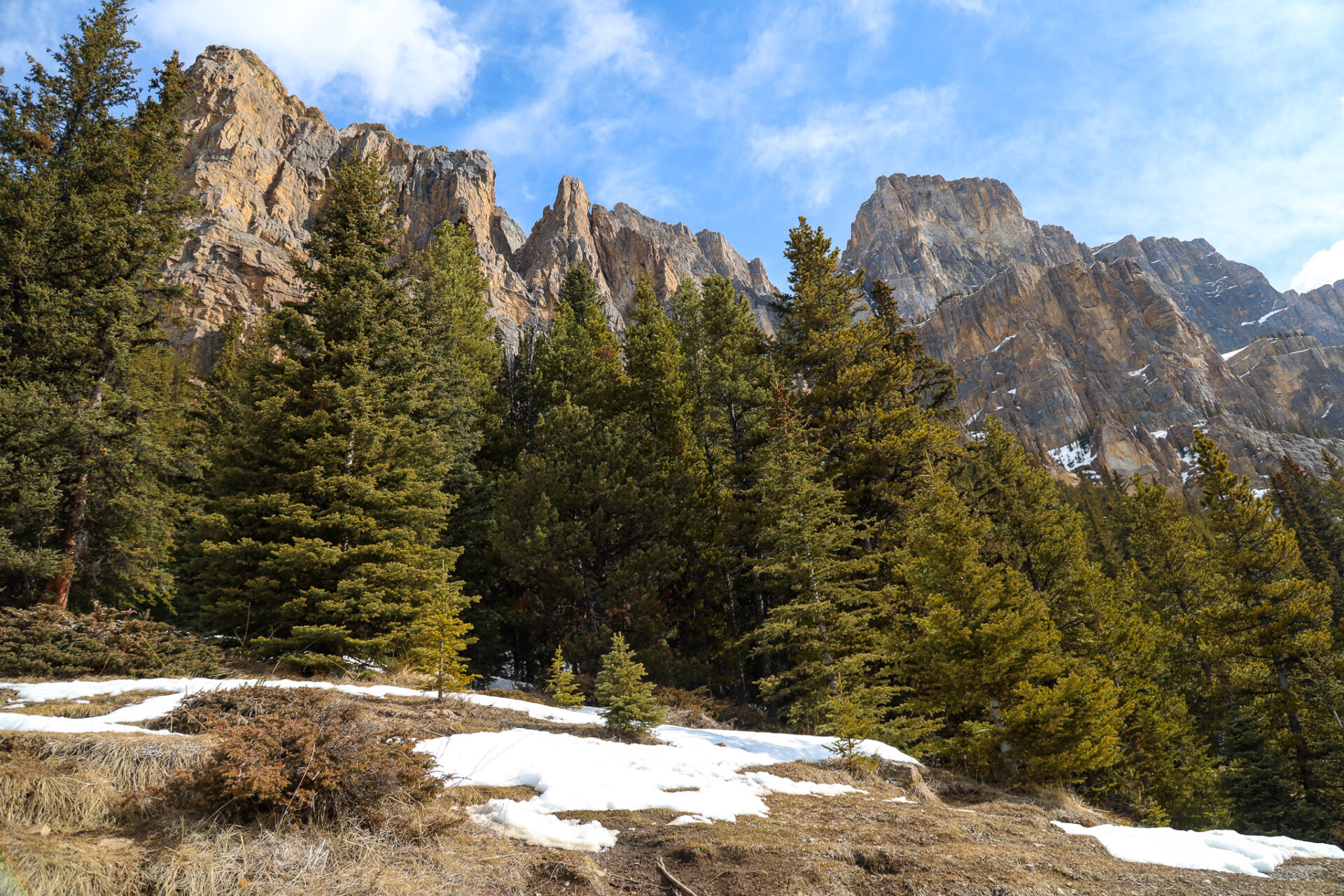 Castle Mountain Lookout Hike in winter