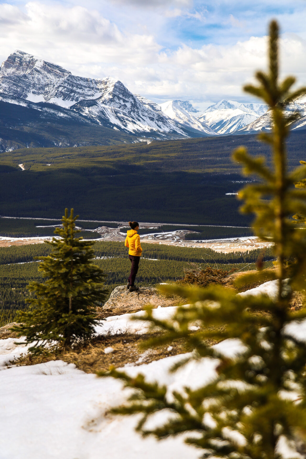 Castle Mountain Lookout Trail Guide - Banff National Park