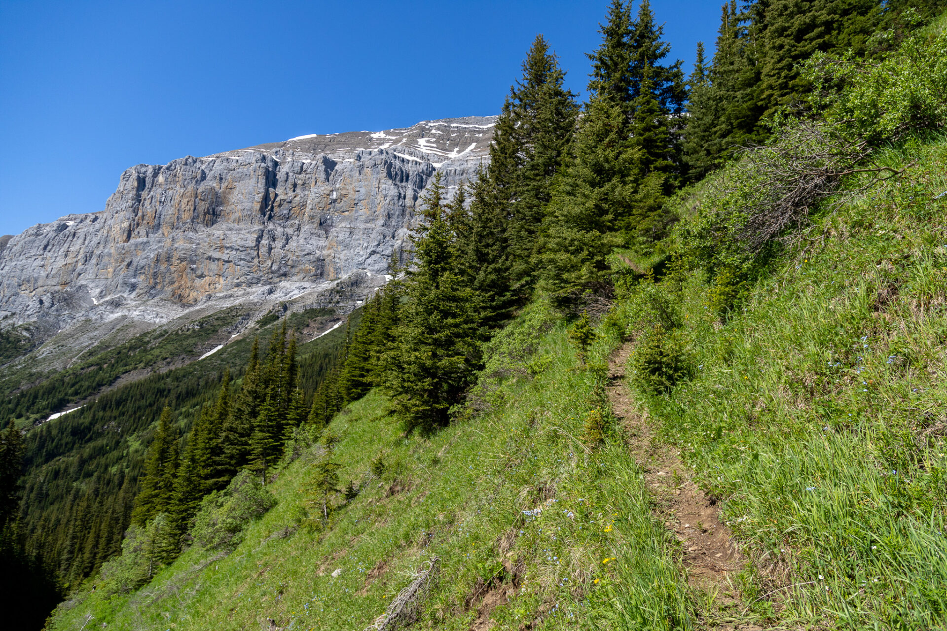 Aylmer Pass hike in July - Banff 