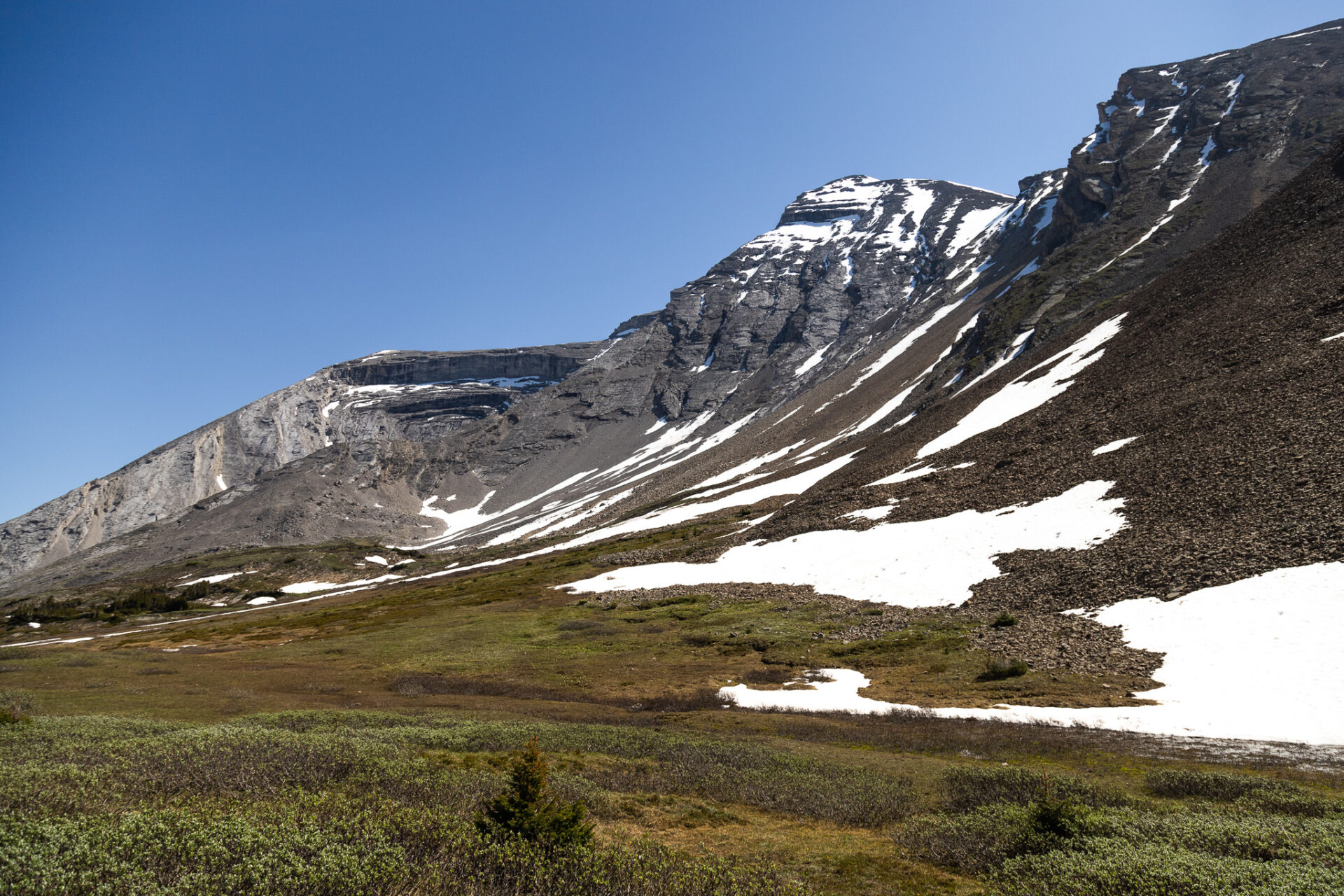 Aylmer Pass hike in Banff in July 