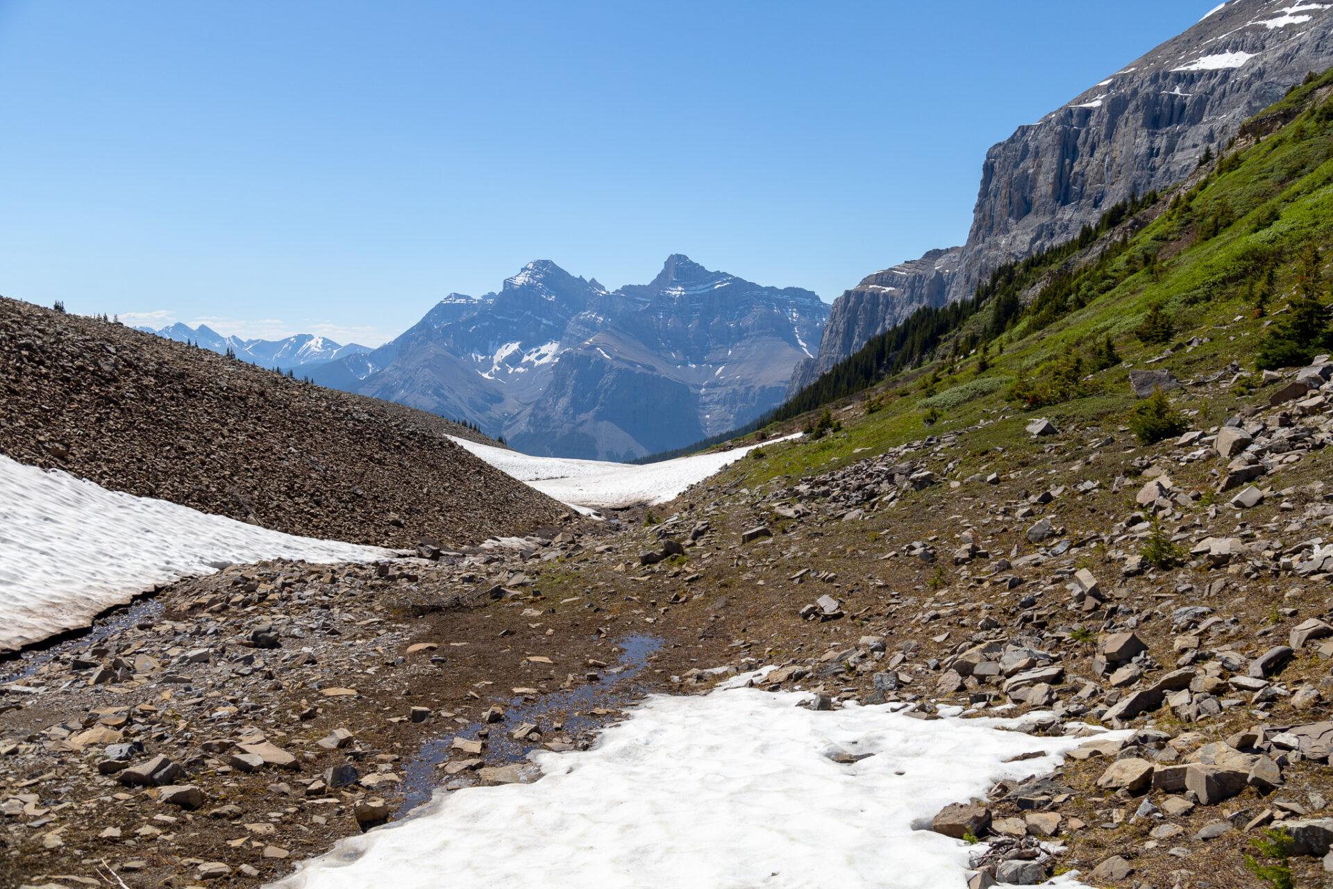 Aylmer Pass in July - Banff