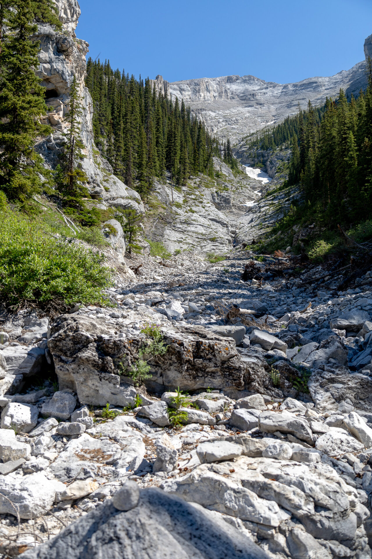 Mount Rundle Central Gully 