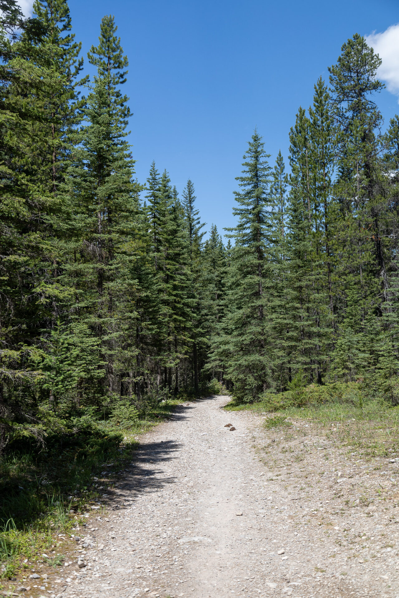 Mount Rundle lower trail 