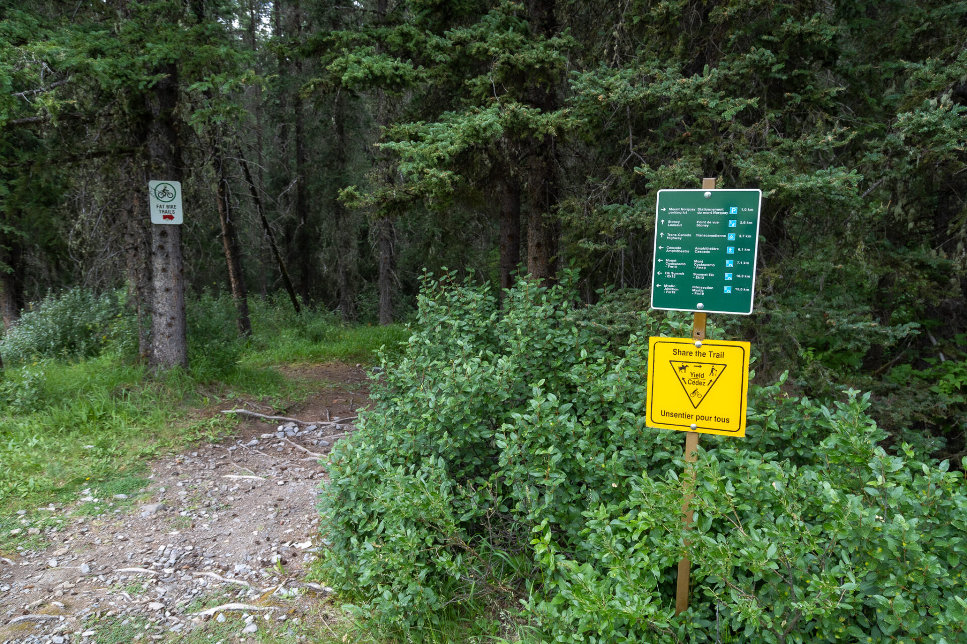 Hikes at Norquay Ski Resort in Banff 