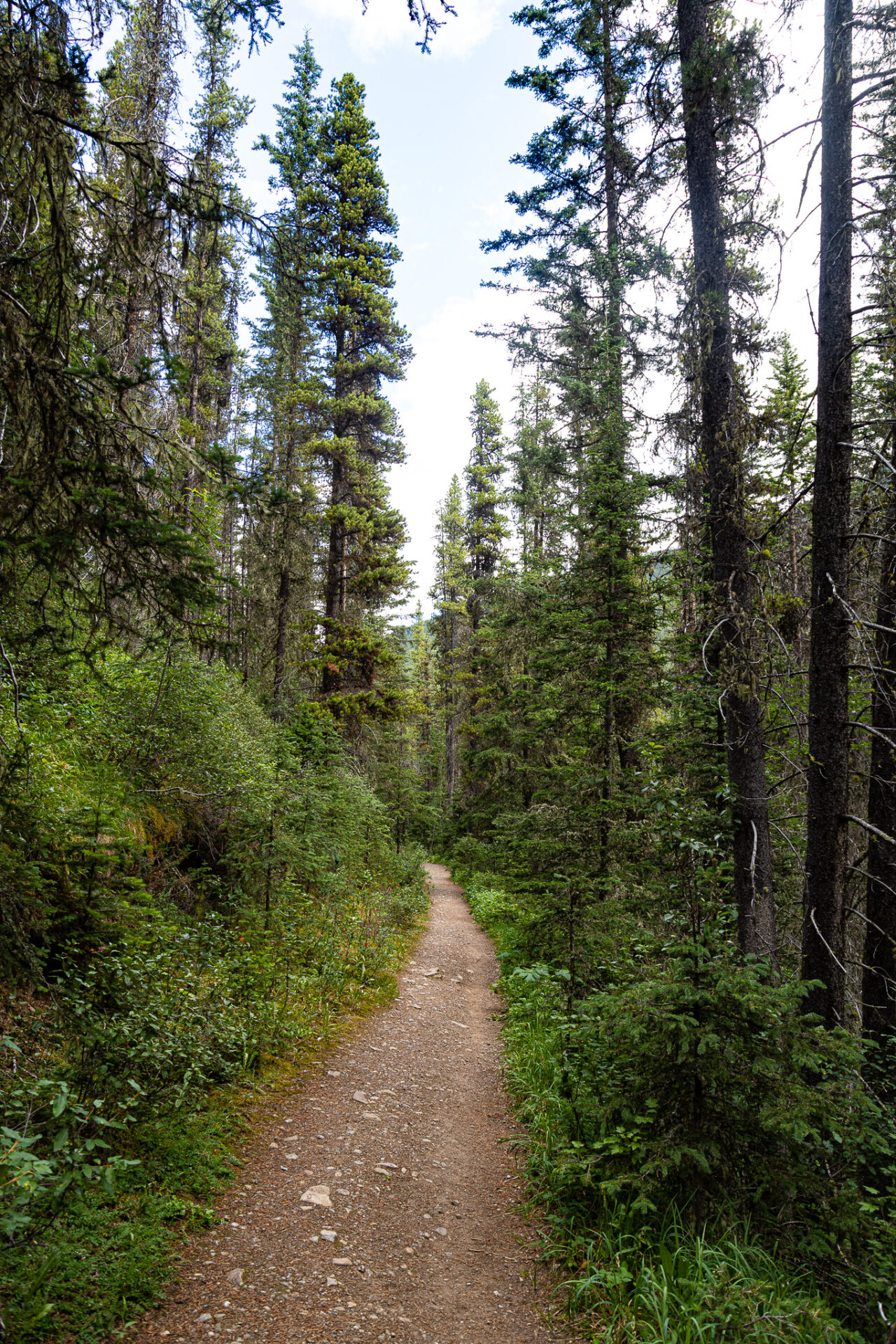 Cascade Amphitheatre and Cascade Mountain Hike in Banff - Complete Guide 