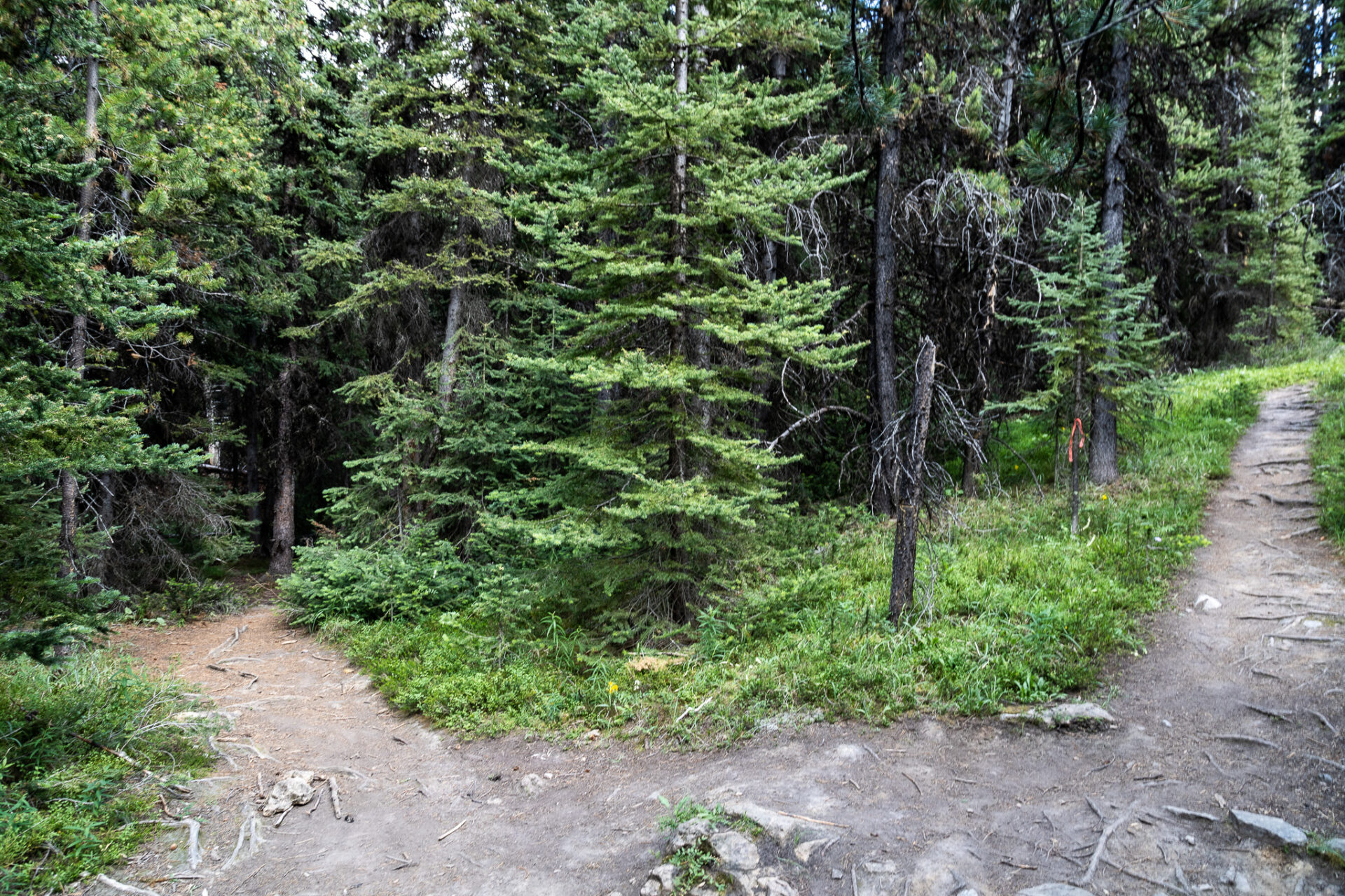 Cascade Amphitheatre turnoff to Cascade summit 