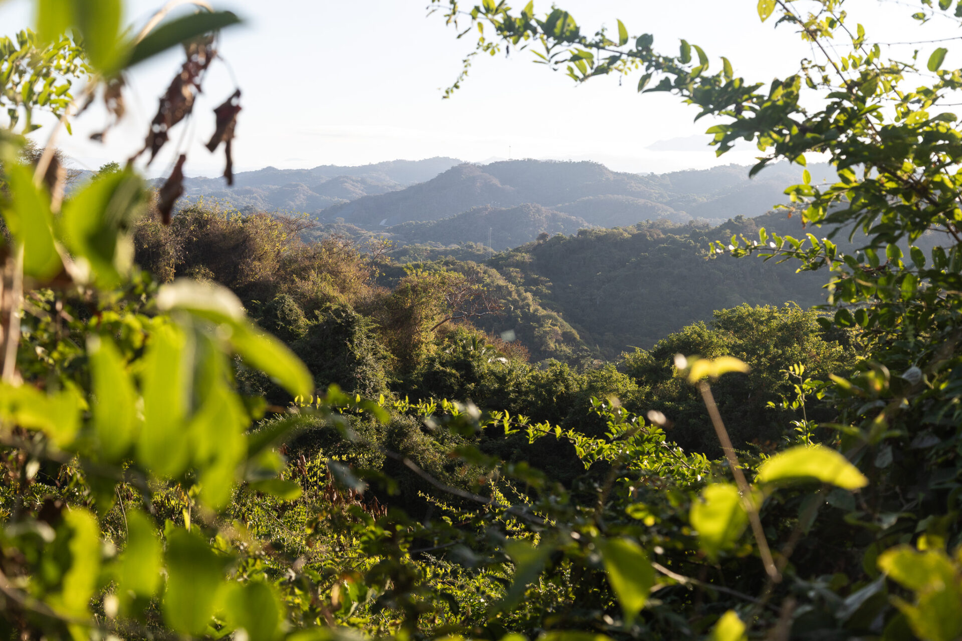 Sayulita-San Pancho Sunrise Hike 