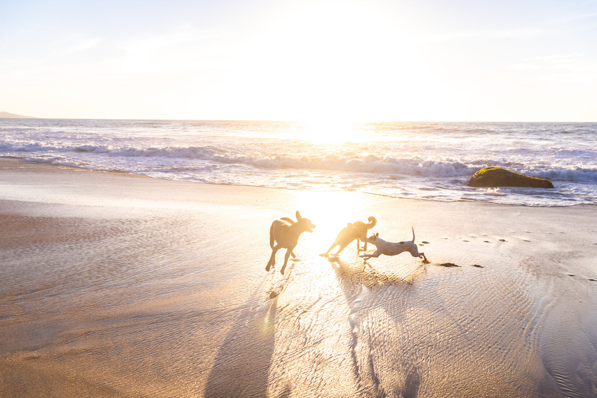 Sunset Beaches in Sayulita 