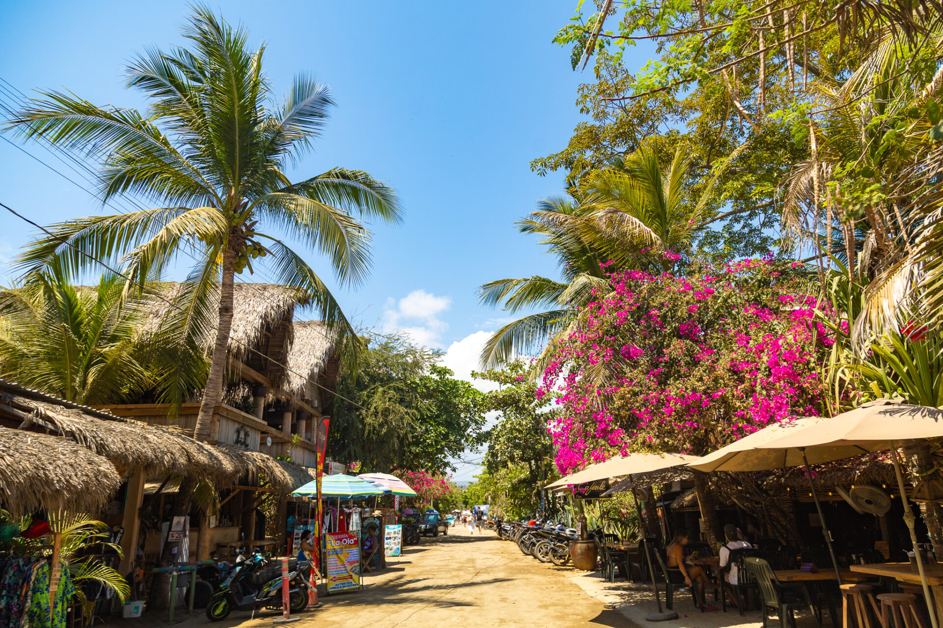 Healthy Travel guide for Puerto Escondido 