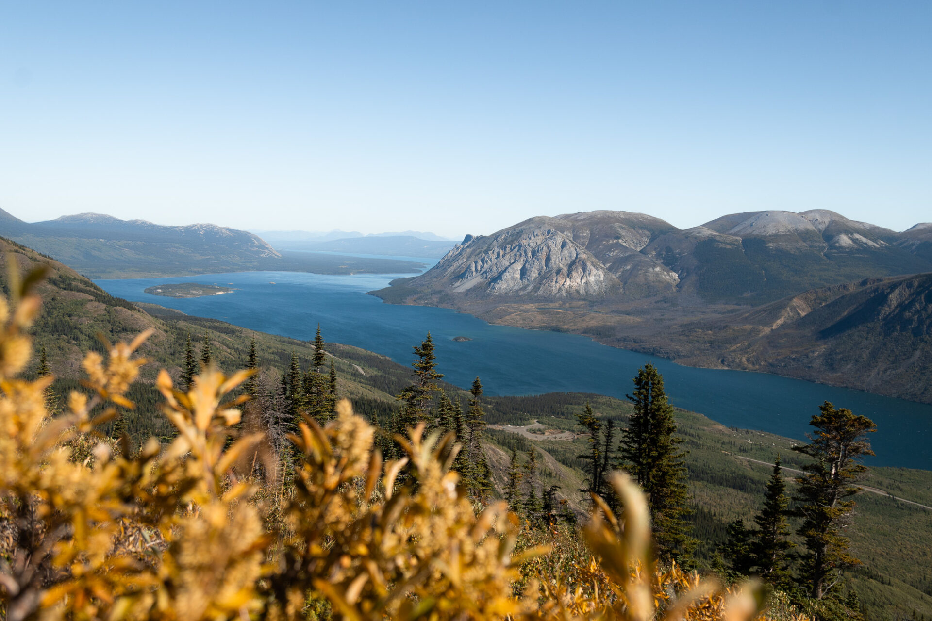 Sam McGee hike, Hero Mountain Trailhead - Carcross, Yukon hikes