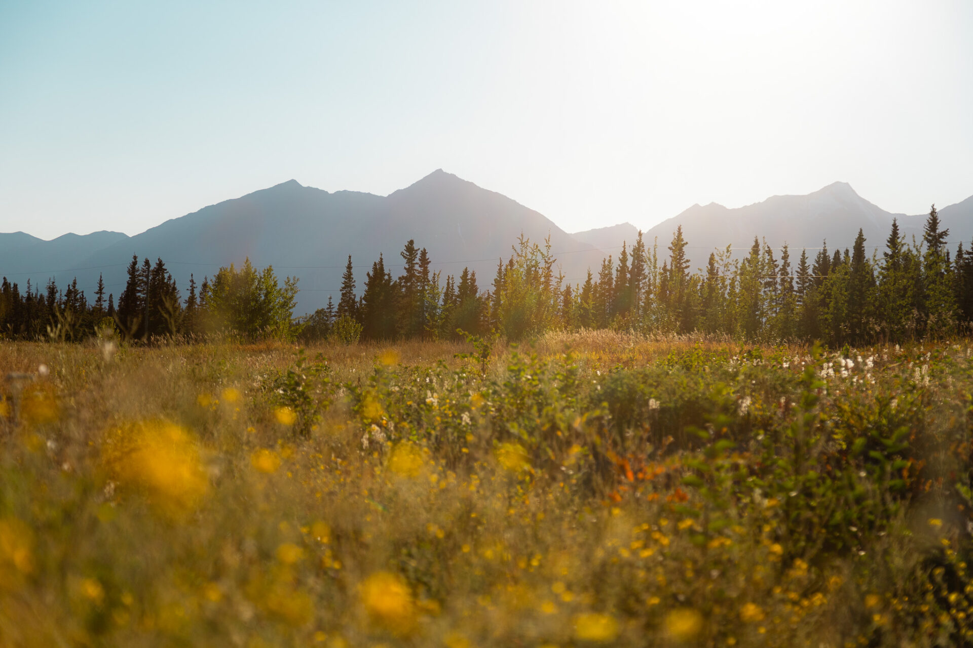 Haines Junction at sunset, Yukon, Canada